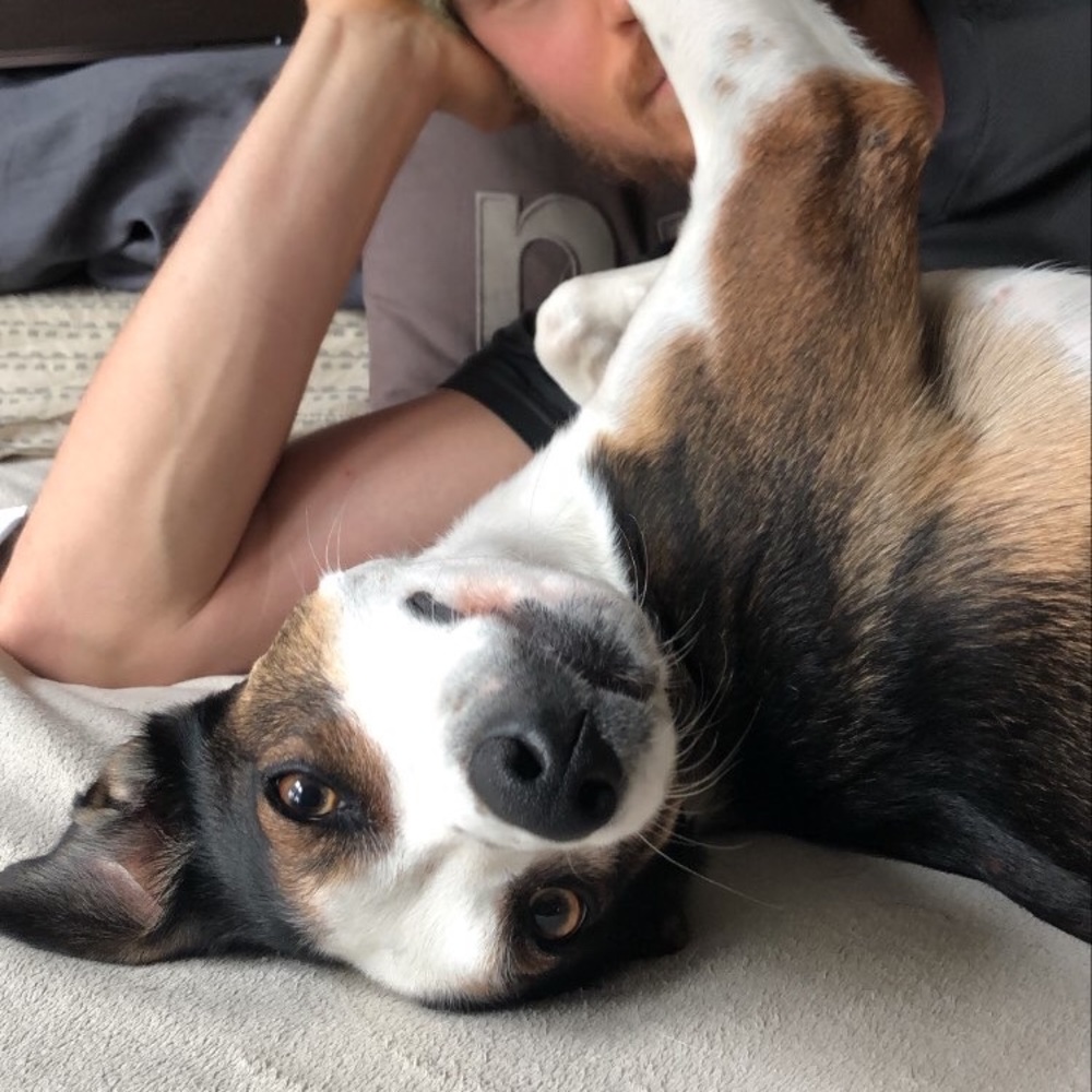 Meet your Posher, Emma